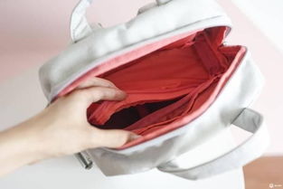 六款網(wǎng)紅雙肩包測評,哪款最值得買